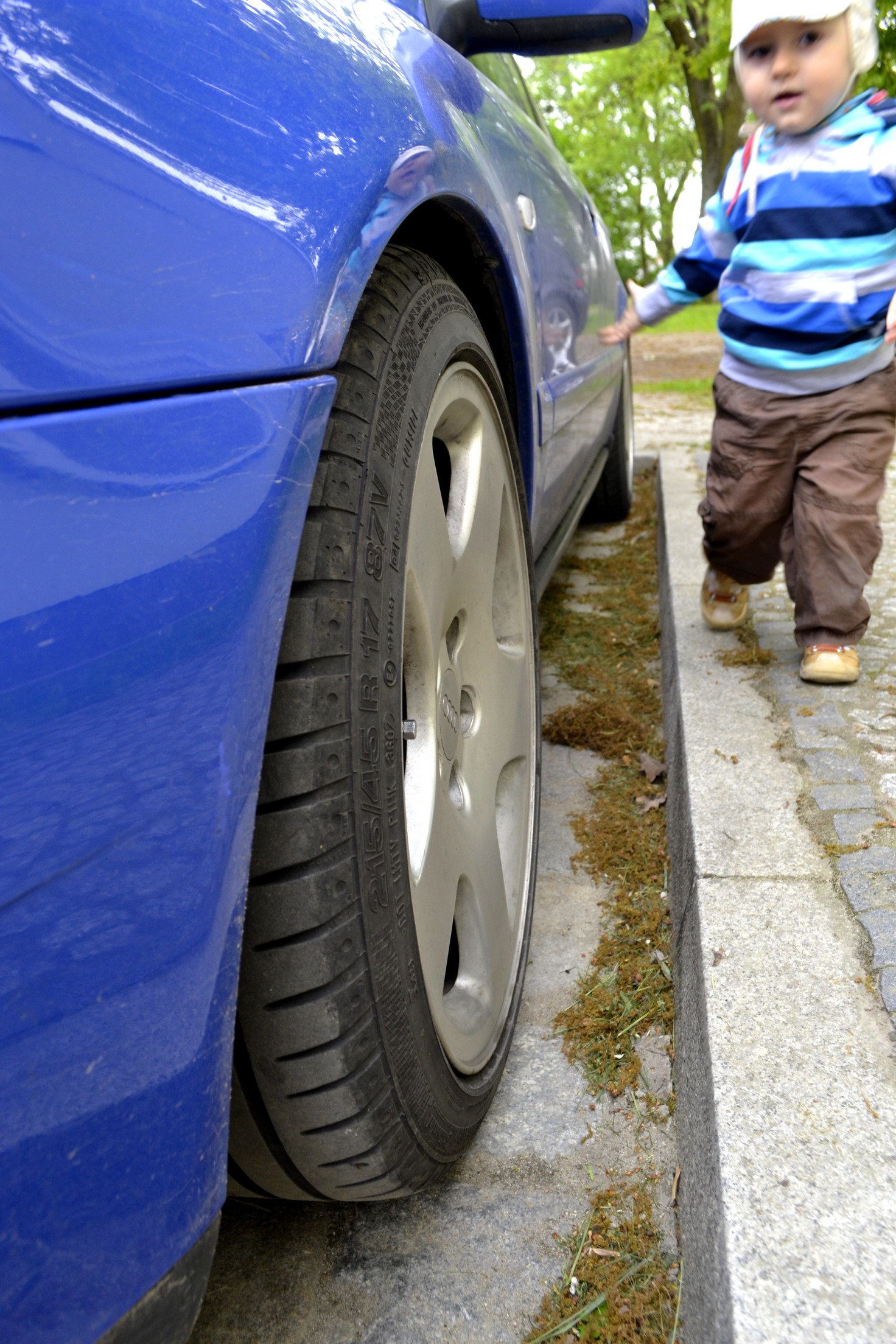 7538e723a0d8f911adc67b17e8445f.jpg